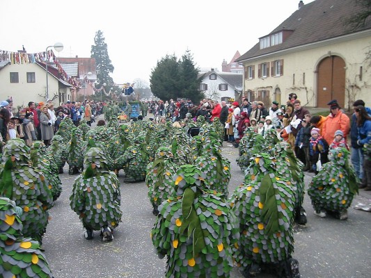 ../Images/2005-01-16_Narrenverein in Gottmadingen_028.jpg